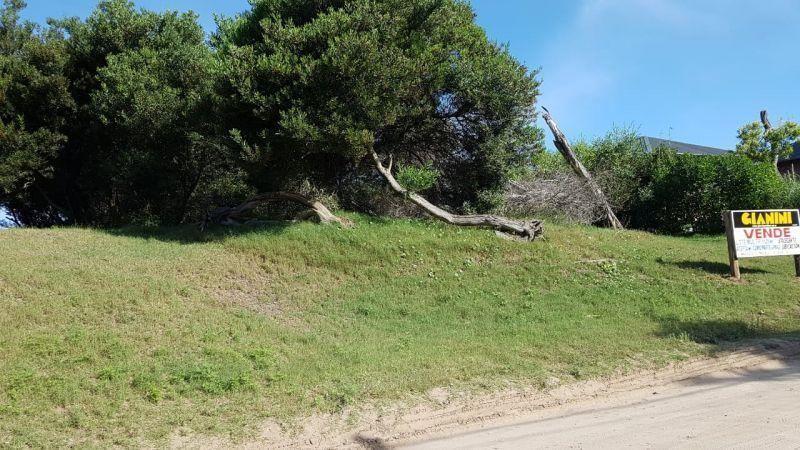 Lote. | Mar del Plata 1
