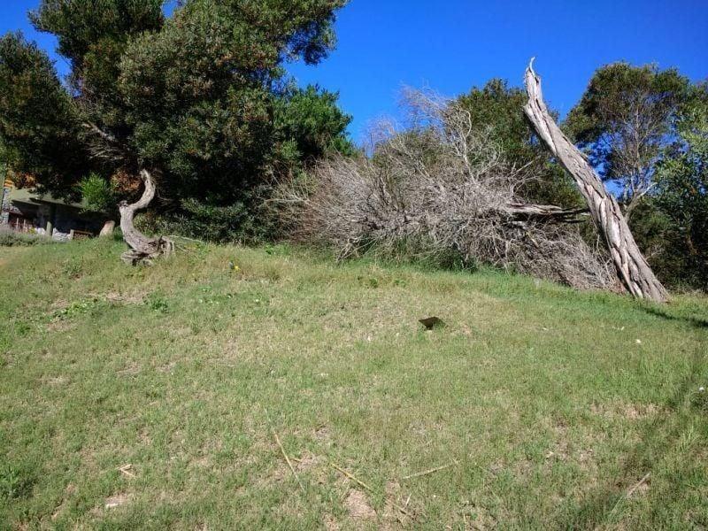 Lote. | Mar del Plata 3