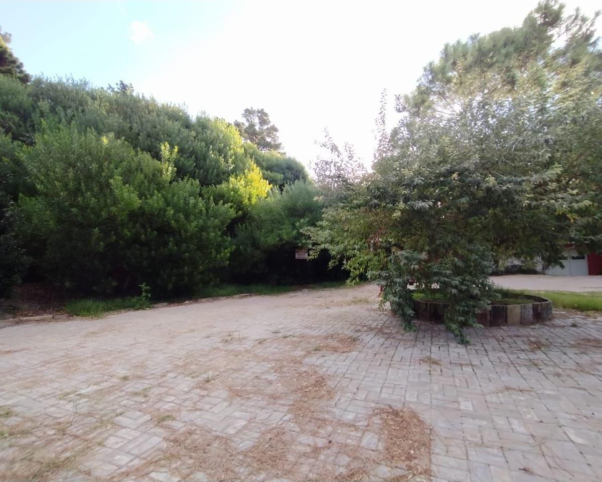 Lote. | Quinquela Martin 4