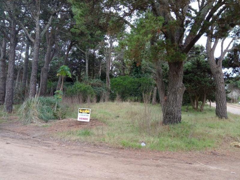 Lote | Av. Divisadero