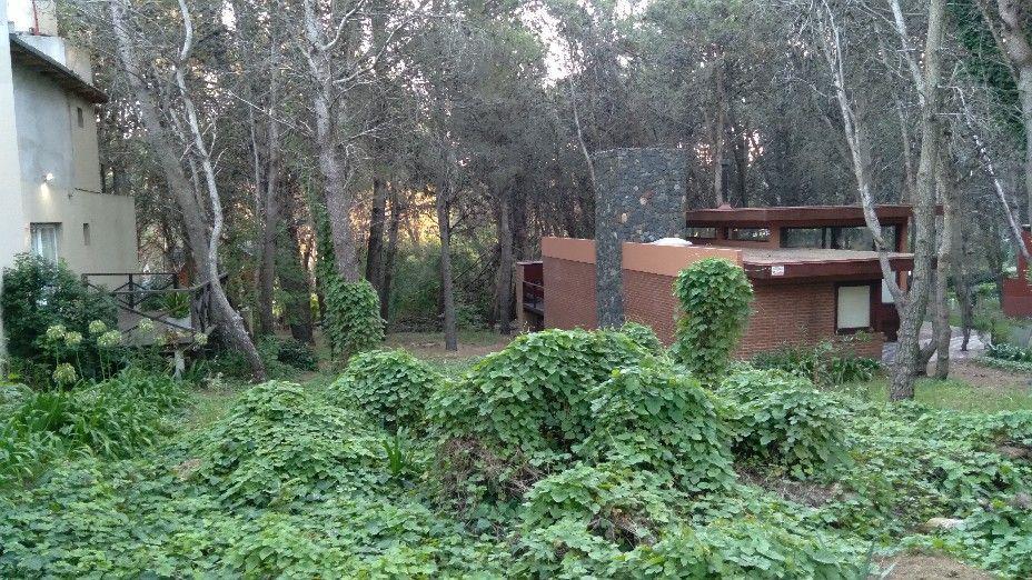 Lote. | 43 5