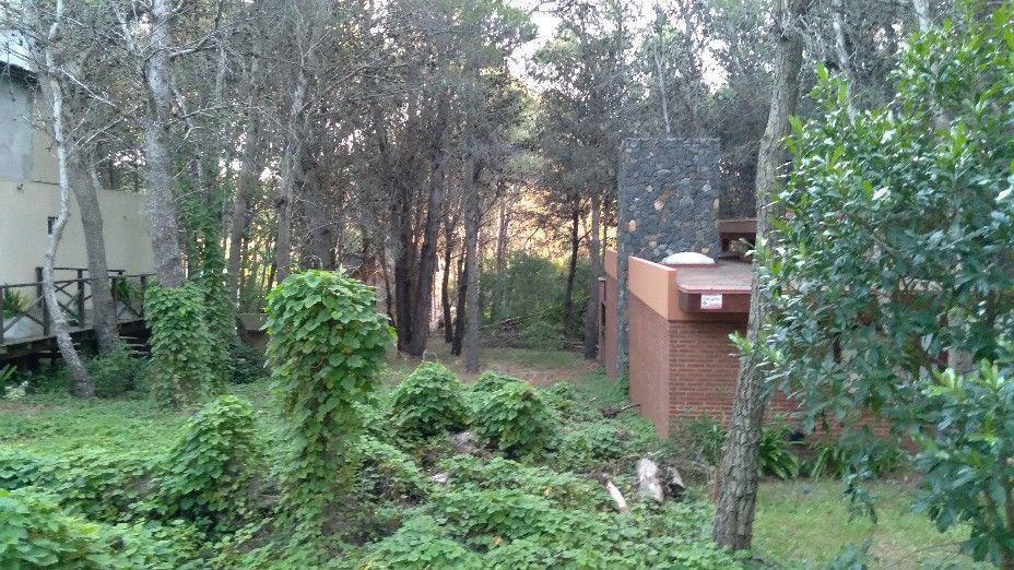 Lote. | 43 2