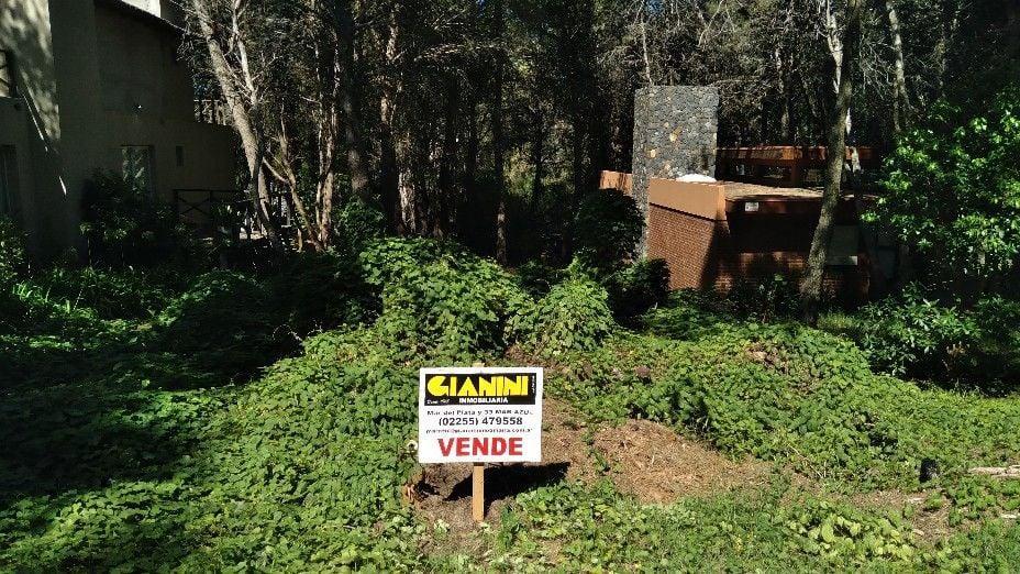 Lote. | 43 4