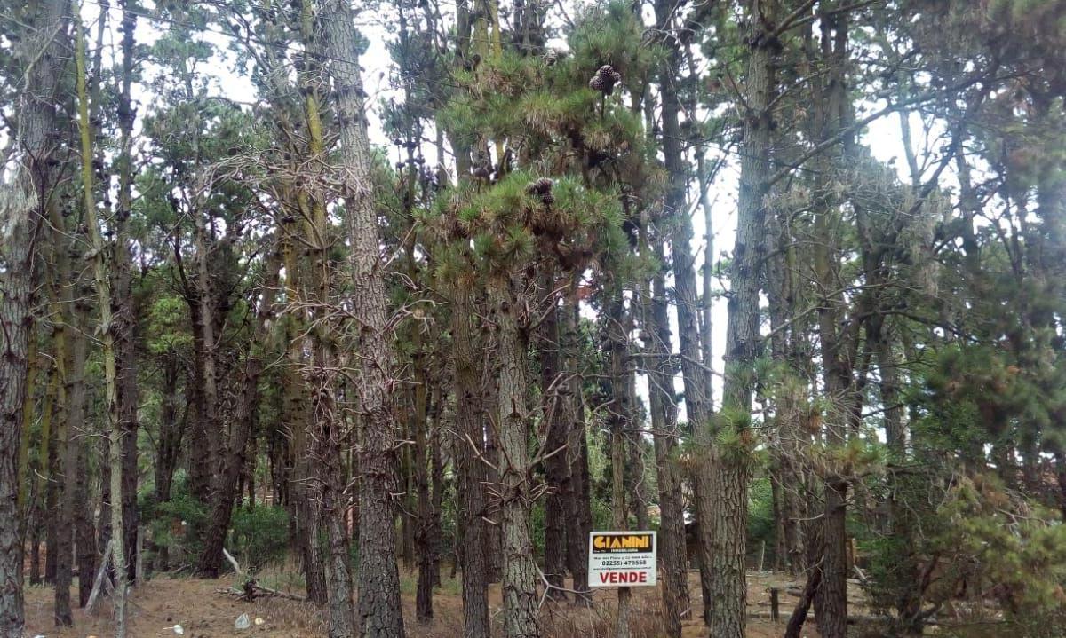 Venta de lotes en calle 37 Ambos de 475 m2