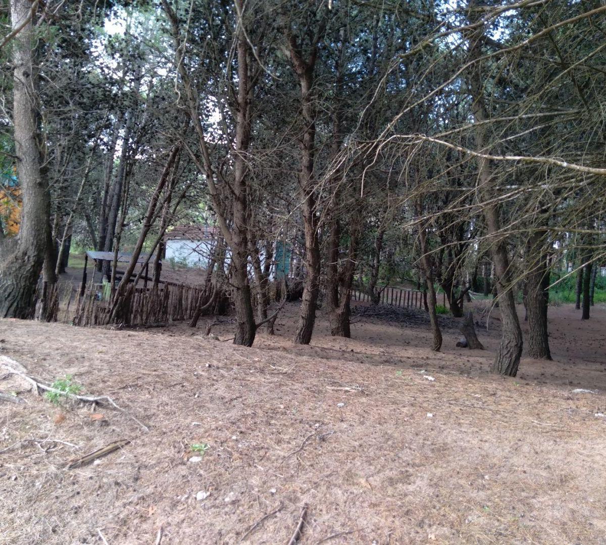 Excelente Lote de 325 m² - Hermoso Entorno Boscoso! 2
