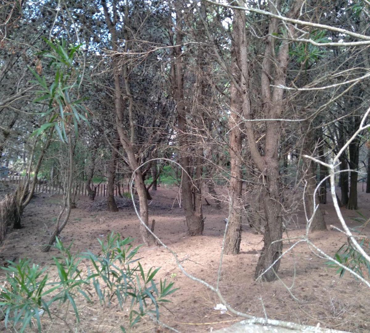 Excelente Lote de 325 m² - Hermoso Entorno Boscoso! 4