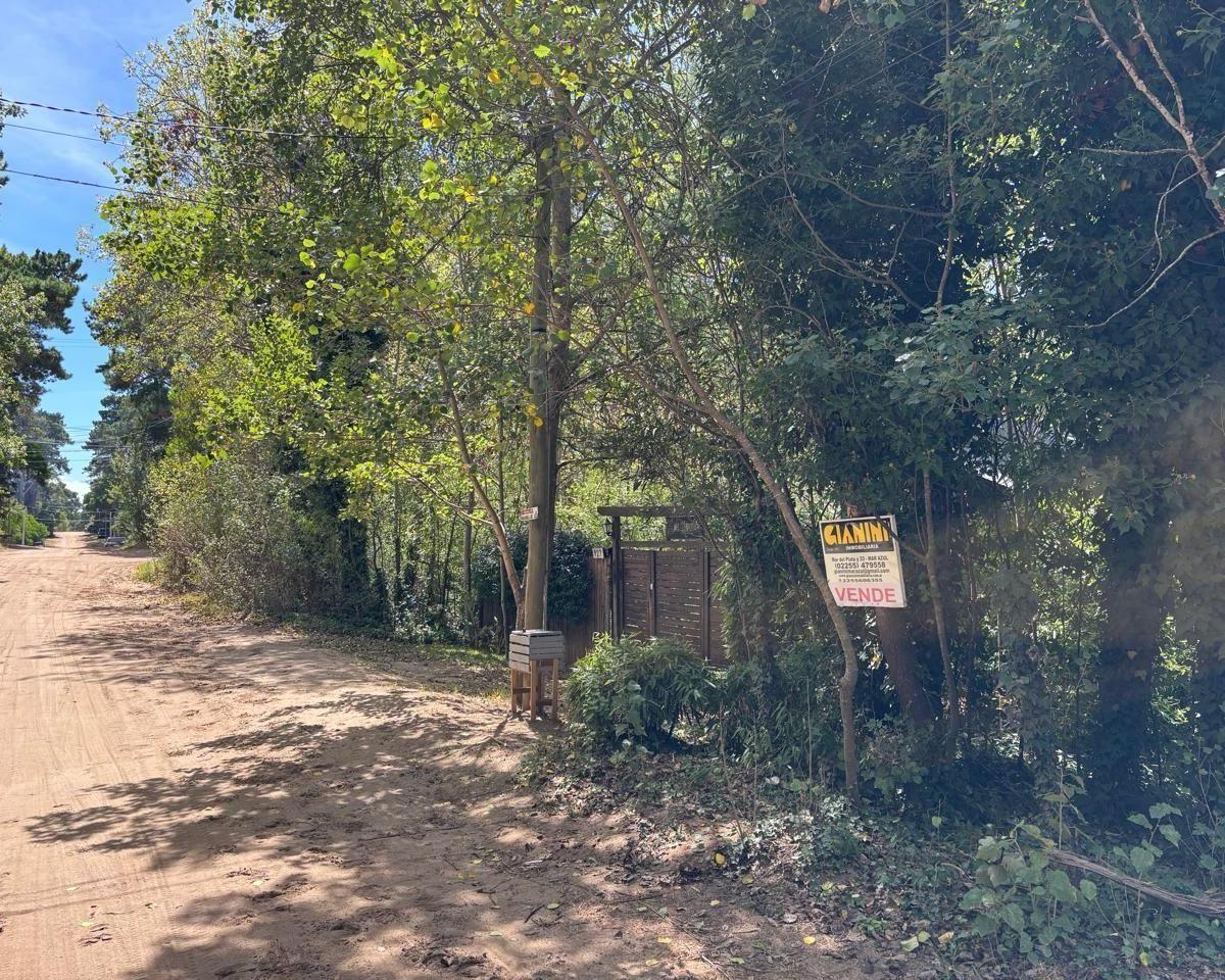 Excelente Lote Unifamiliar de 350 m² en Mar Azul! 3