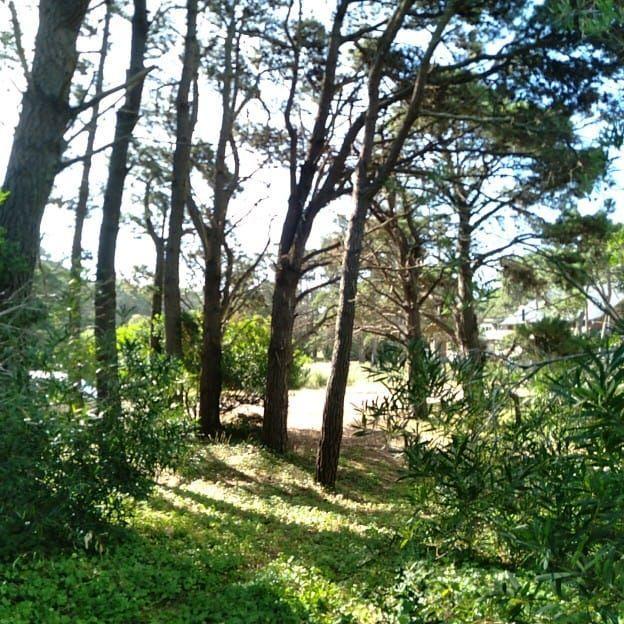 Excelente Lote de 661 m² a 250 Mtrs del Mar! 3
