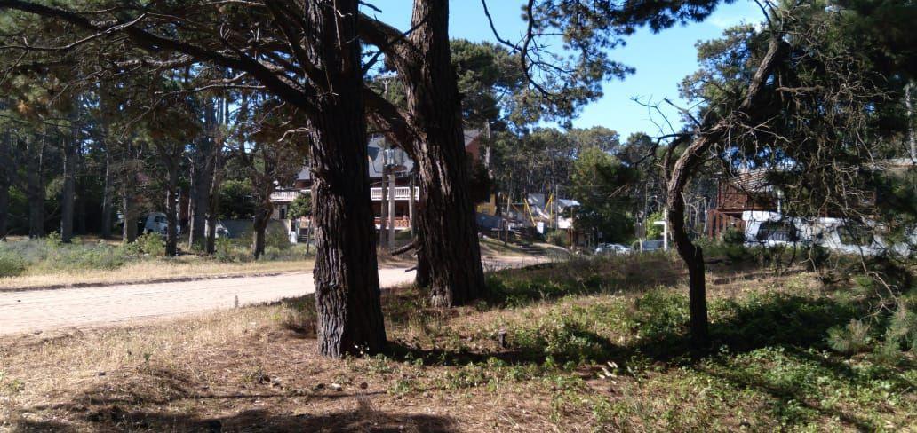 Excelente Lote de 661 m² a 250 Mtrs del Mar! 4