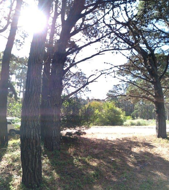 Excelente Lote de 661 m² a 250 Mtrs del Mar! 2