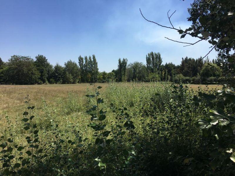 Lote . | Ruta 2 km 65