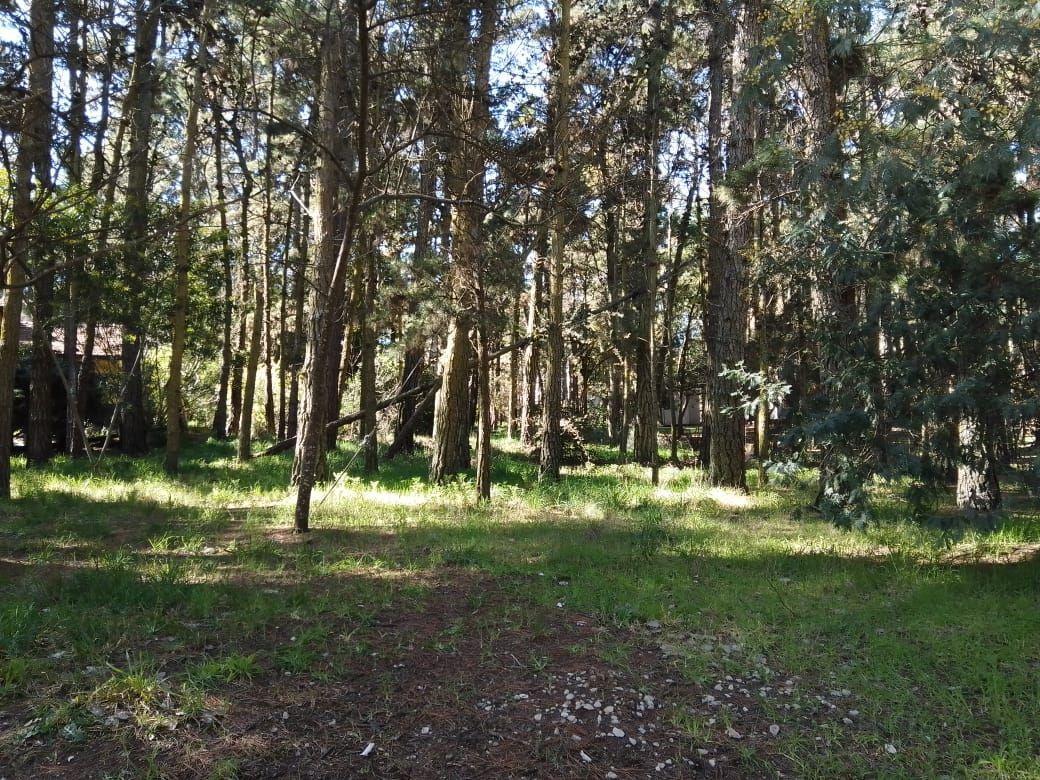 Lote. | Av del Lucero Entre Mansilla y Juan de Garay 5