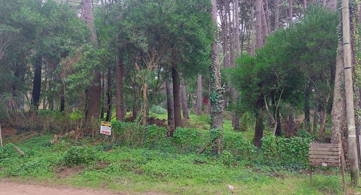Excelente Lote de 950 m Cuadrados a 250 m del Mar. 4