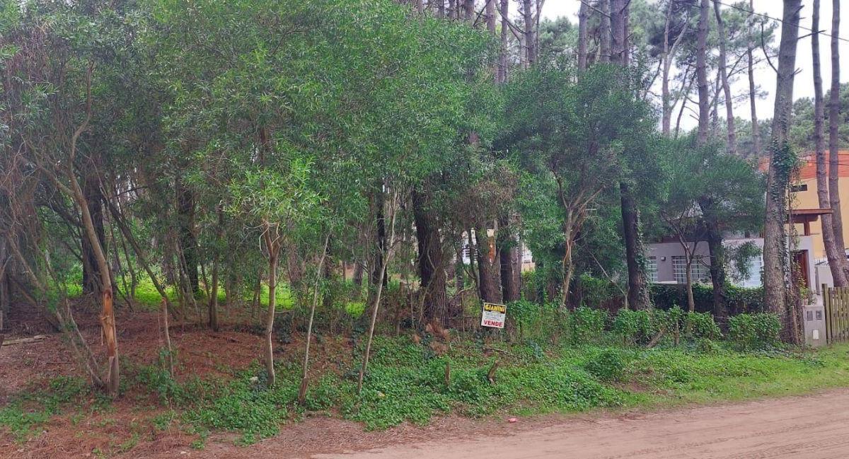 Excelente Lote de 950 m Cuadrados a 250 m del Mar. 3
