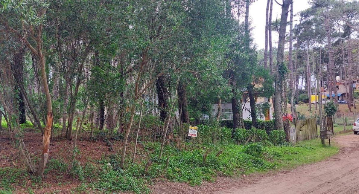 Excelente Lote de 950 m Cuadrados a 250 m del Mar. 2