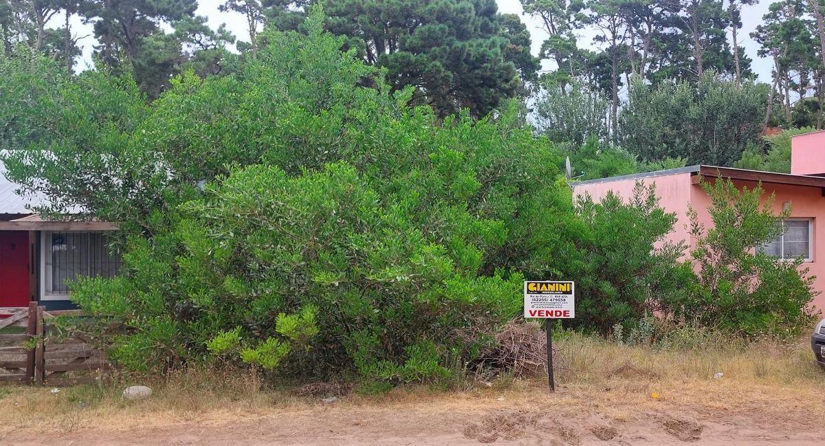 Excelente Lote en Zona Residencial Unifamiliar 1