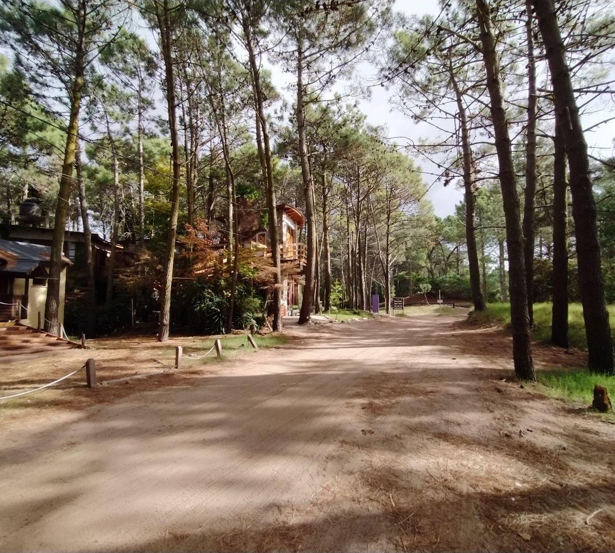 Lote. | Alberto Gernuchoff 4