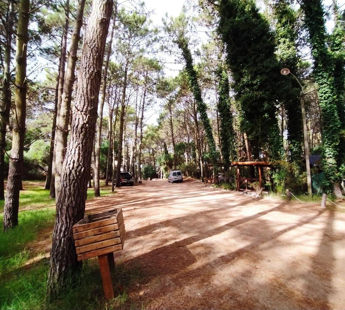 Lote. | Alberto Gernuchoff 2