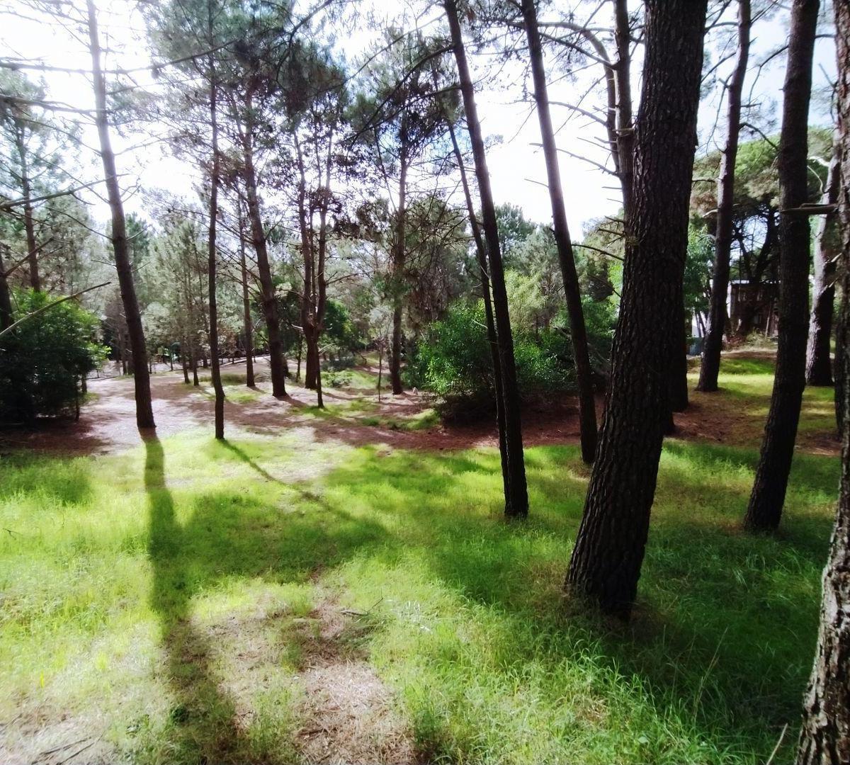Lote. | Alberto Gernuchoff 3