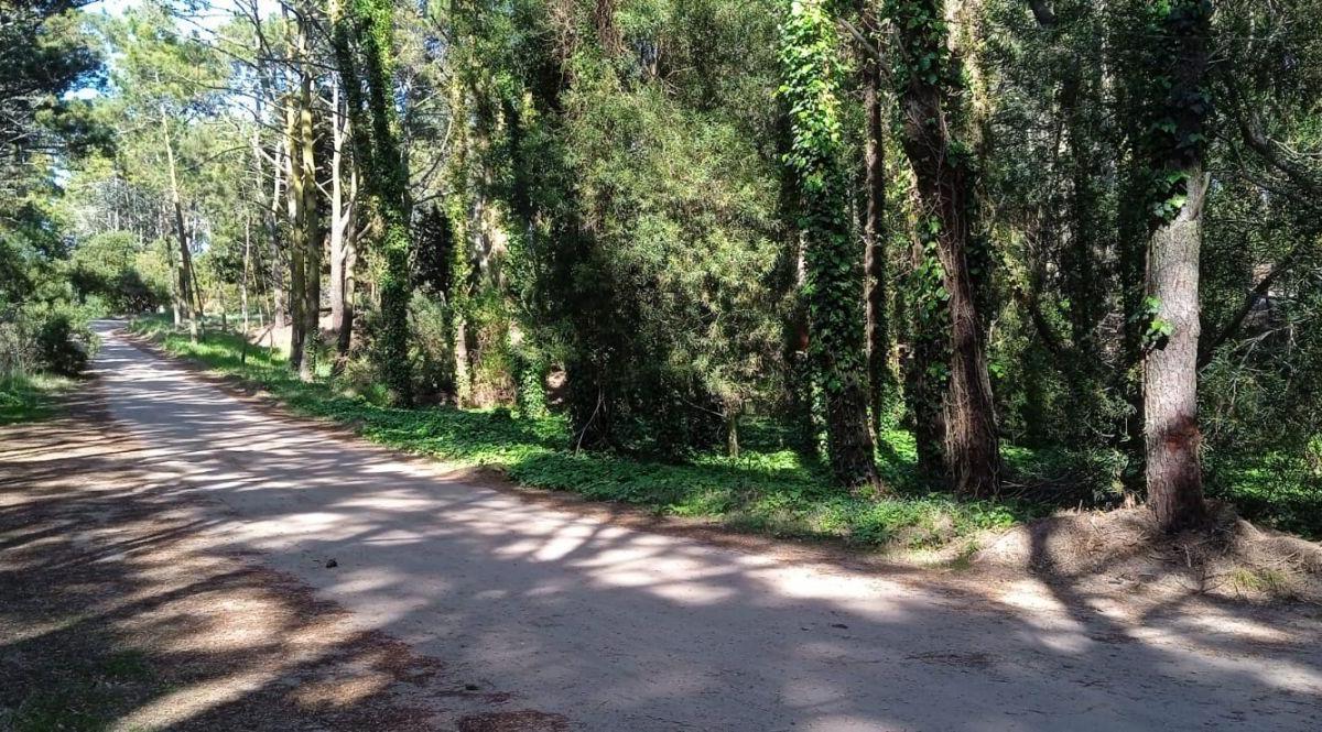 Foto de Lote . | Almafuerte, imagen 2