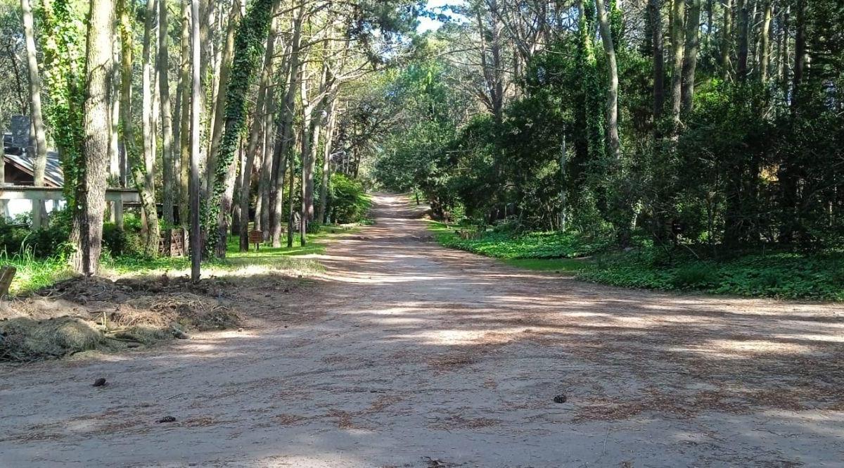 Lote. | Almafuerte 3