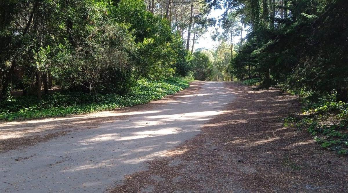 Lote. | Almafuerte 4
