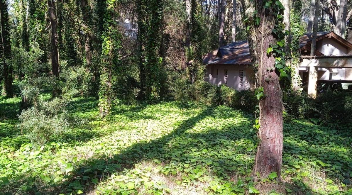 Lote. | Almafuerte 2