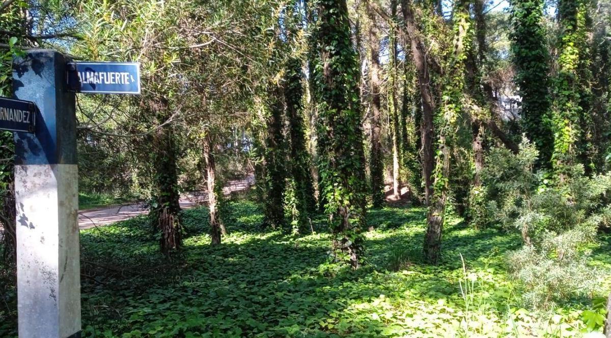 Lote. | Almafuerte 1