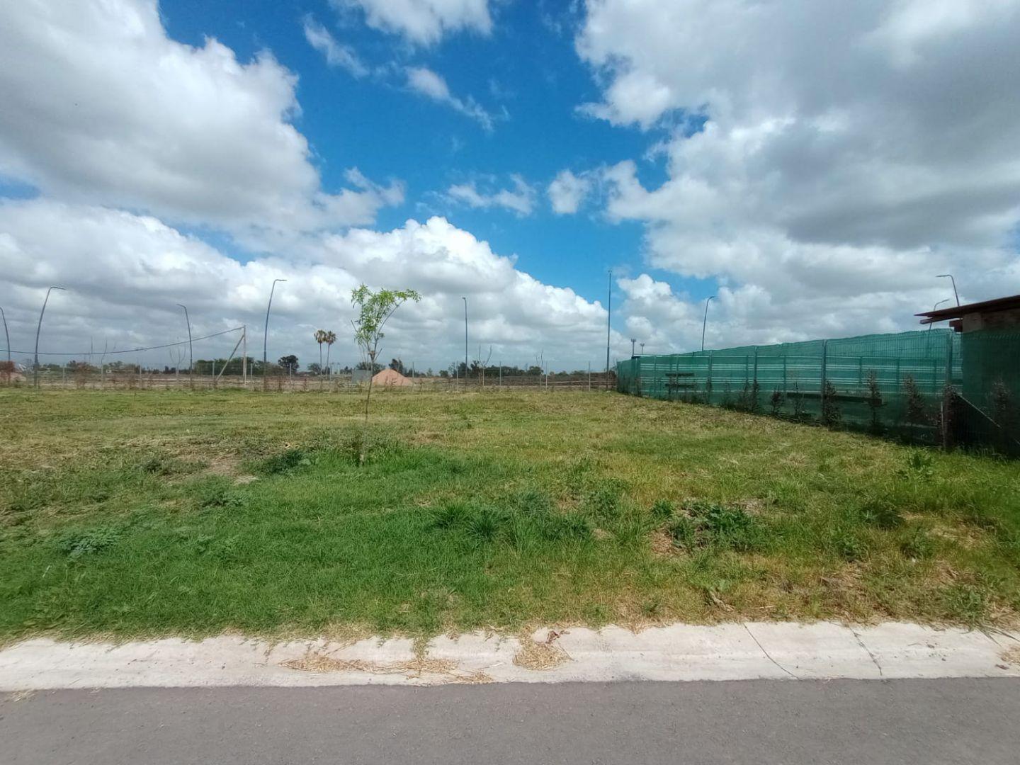 Foto de LOTE EN BARRIO NUEVO BELLA VISTA - GASPAR CAMPOS, imagen 3