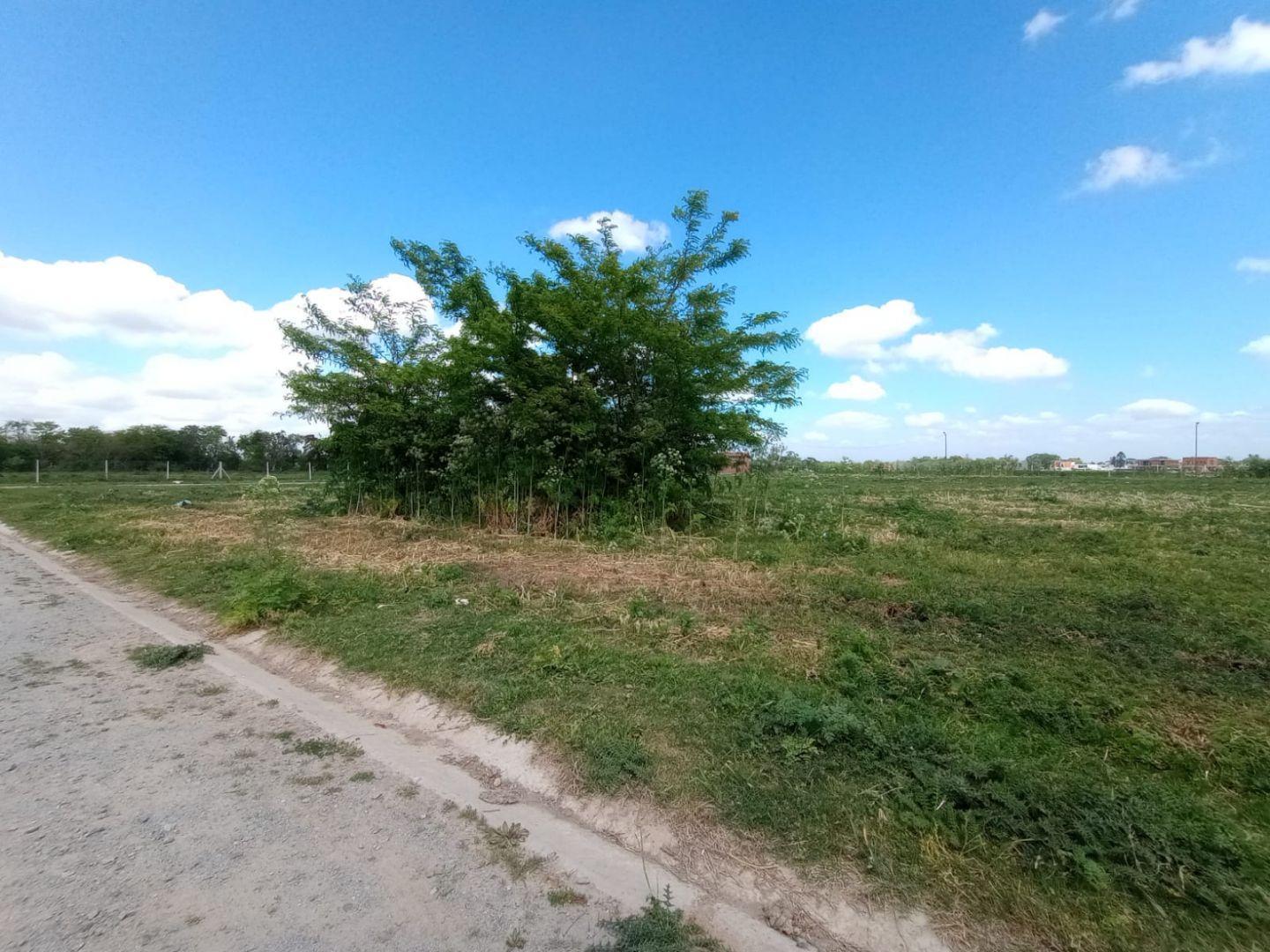 Foto de Lote . | Corrientes 3700, imagen 3