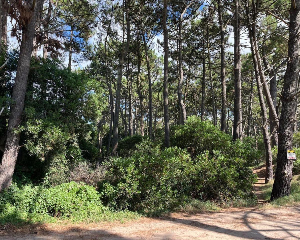 Excelente Lote Comercial en Venta Mar Azul 2