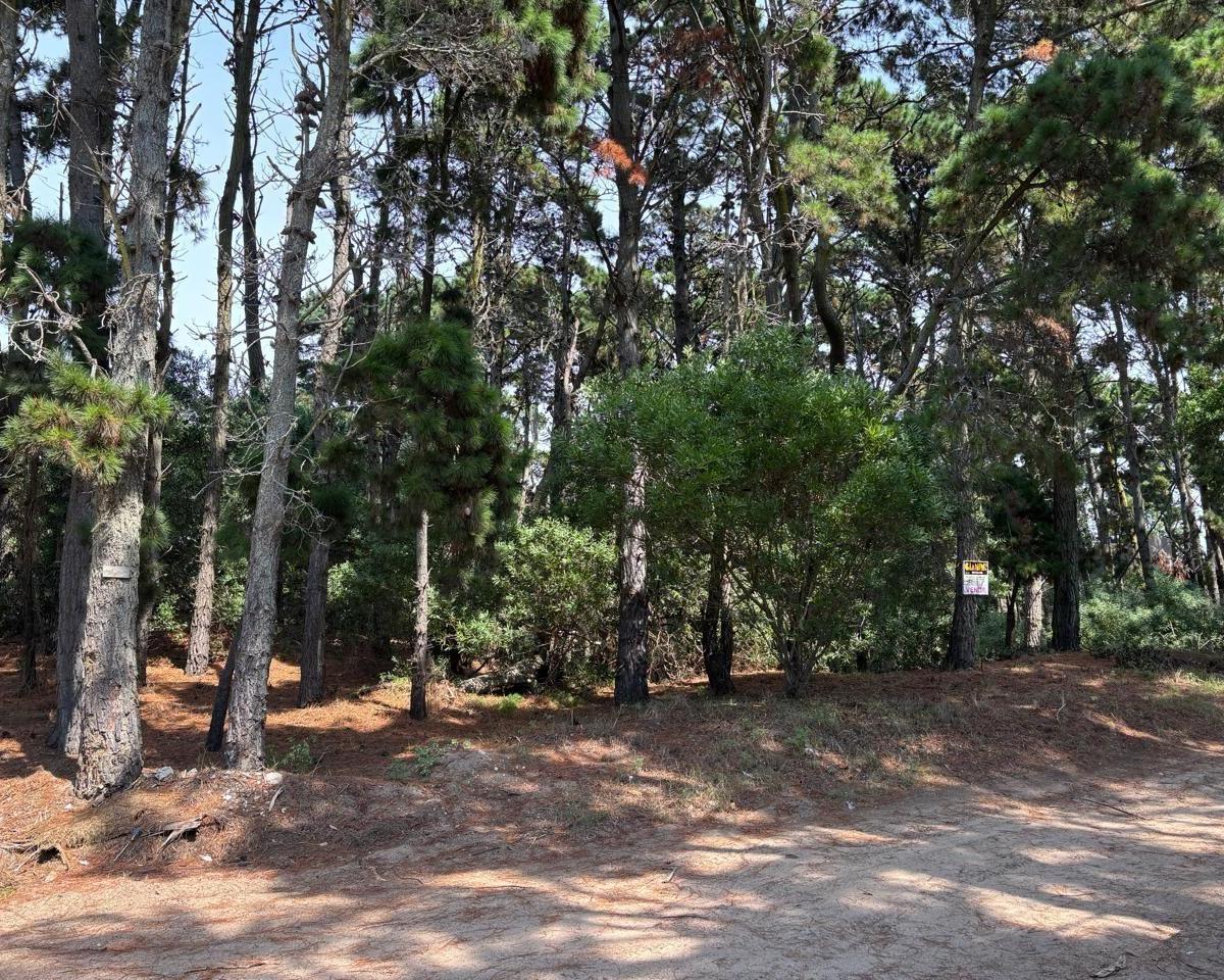 Venta de Dos Lotes Unifamiliares Excelente Ubicacion Mar Azu 2
