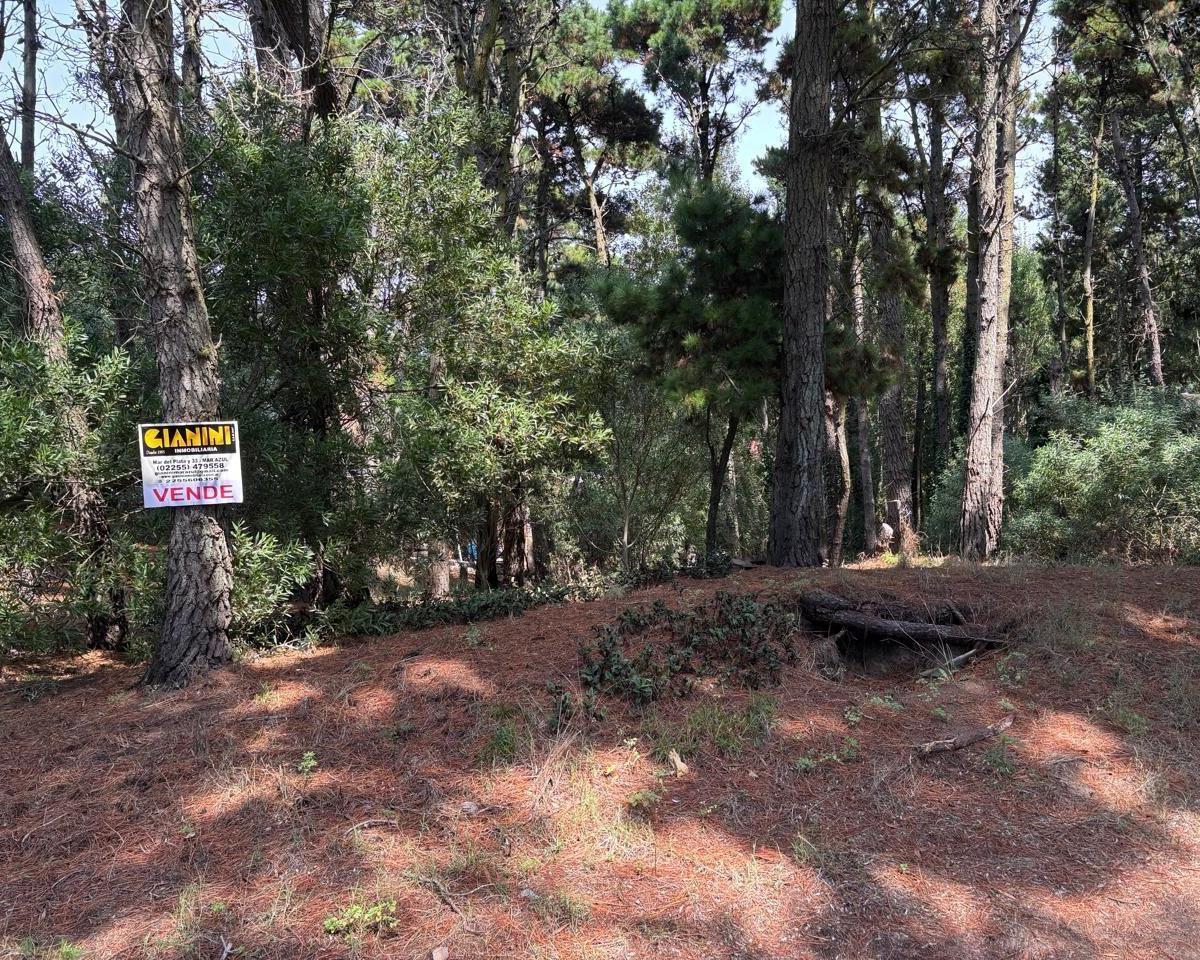 Venta de Dos Lotes Unifamiliares Excelente Ubicacion Mar Azu 4