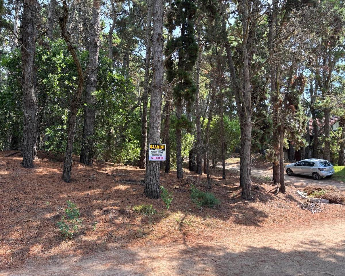 Venta de Dos Lotes Unifamiliares Excelente Ubicacion Mar Azu 5