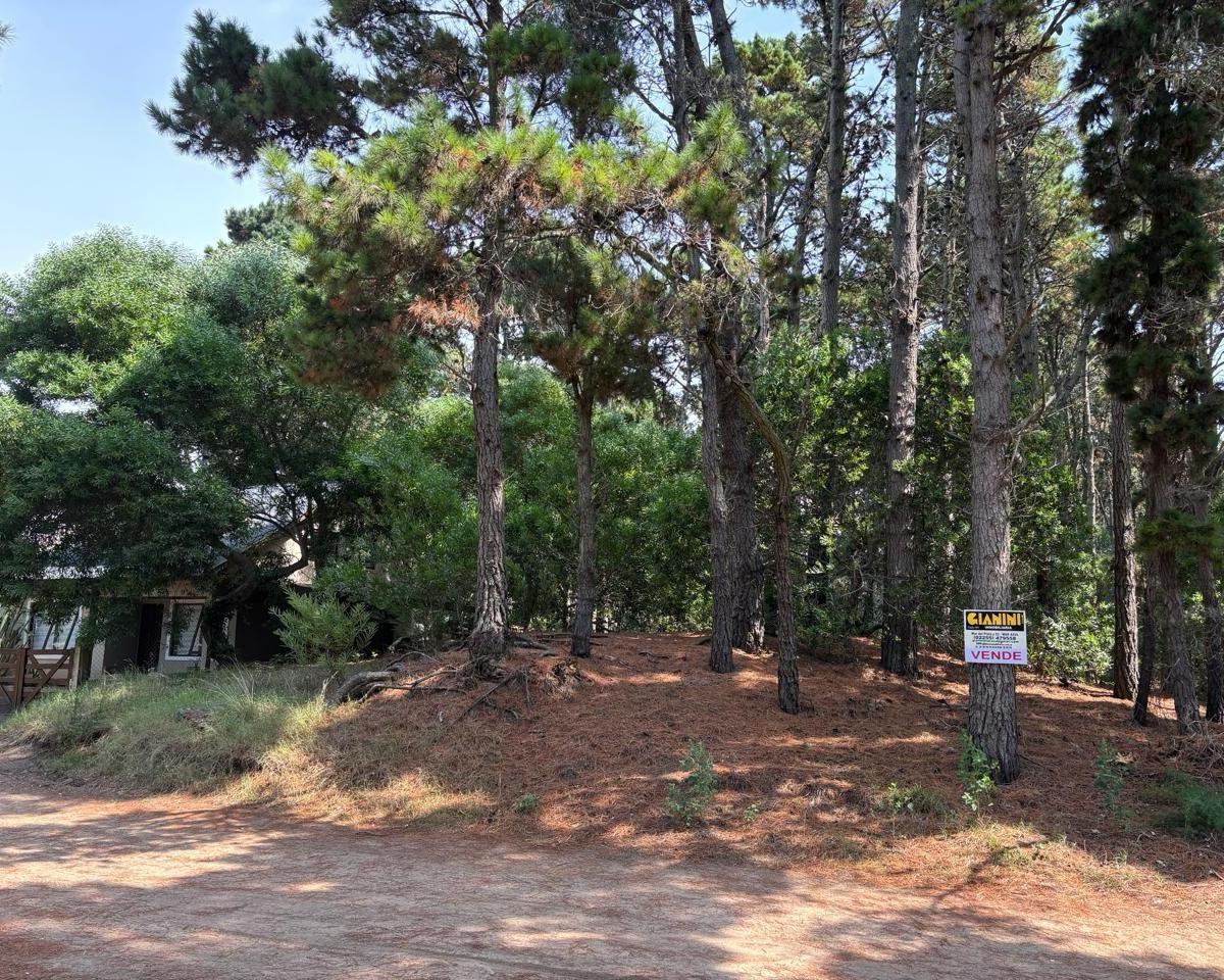 Venta de Dos Lotes Unifamiliares Excelente Ubicacion Mar Azu 3
