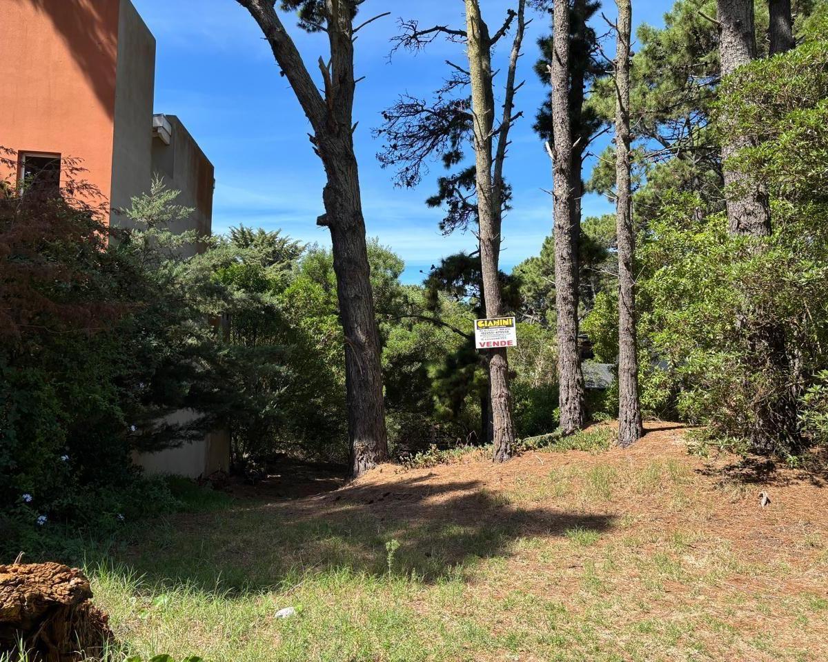 Excelente Lote Unifamiliar a 400 m del Mar, Mar Azul 4