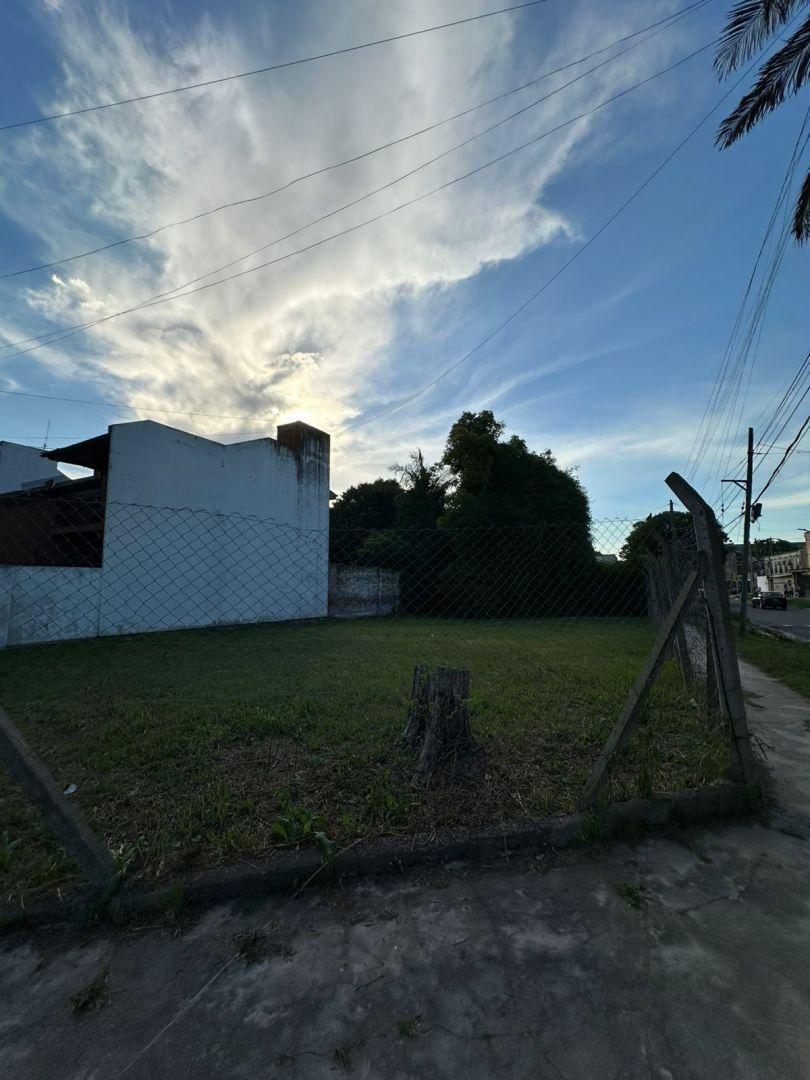 Foto de Lote . | Italia 305, imagen 2