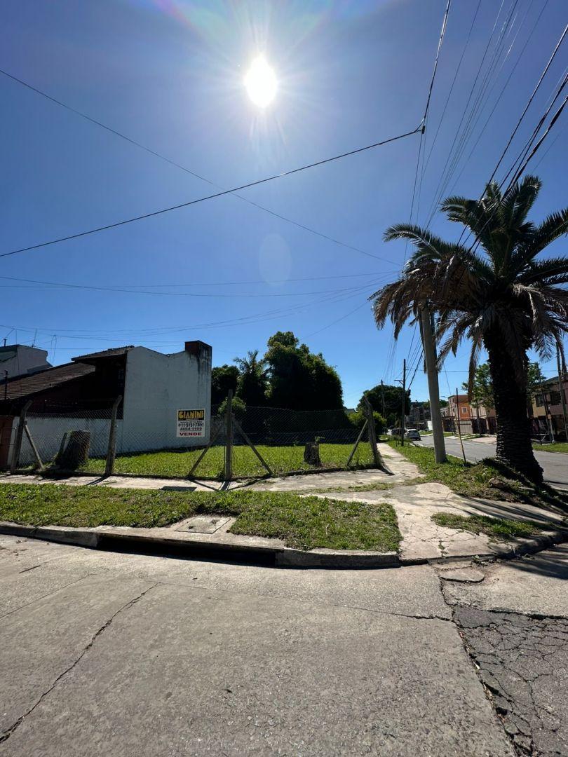 Foto de Lote . | Italia 305, imagen 1