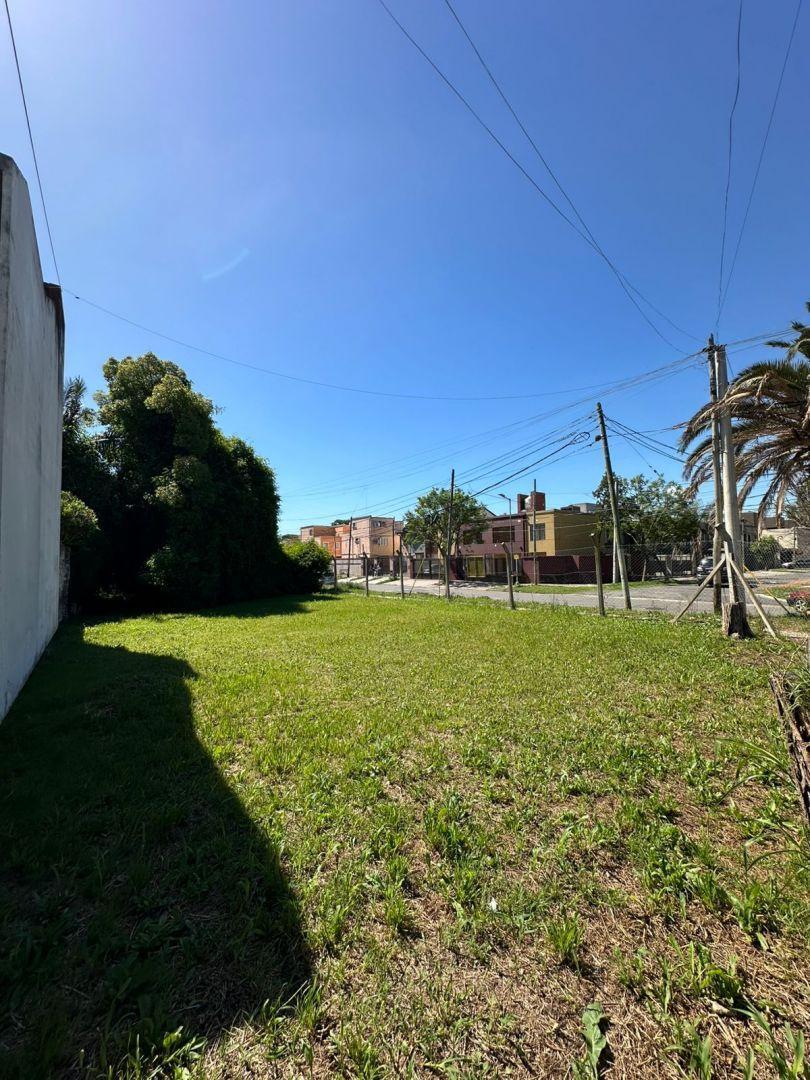 Foto de Lote . | Italia 305, imagen 3