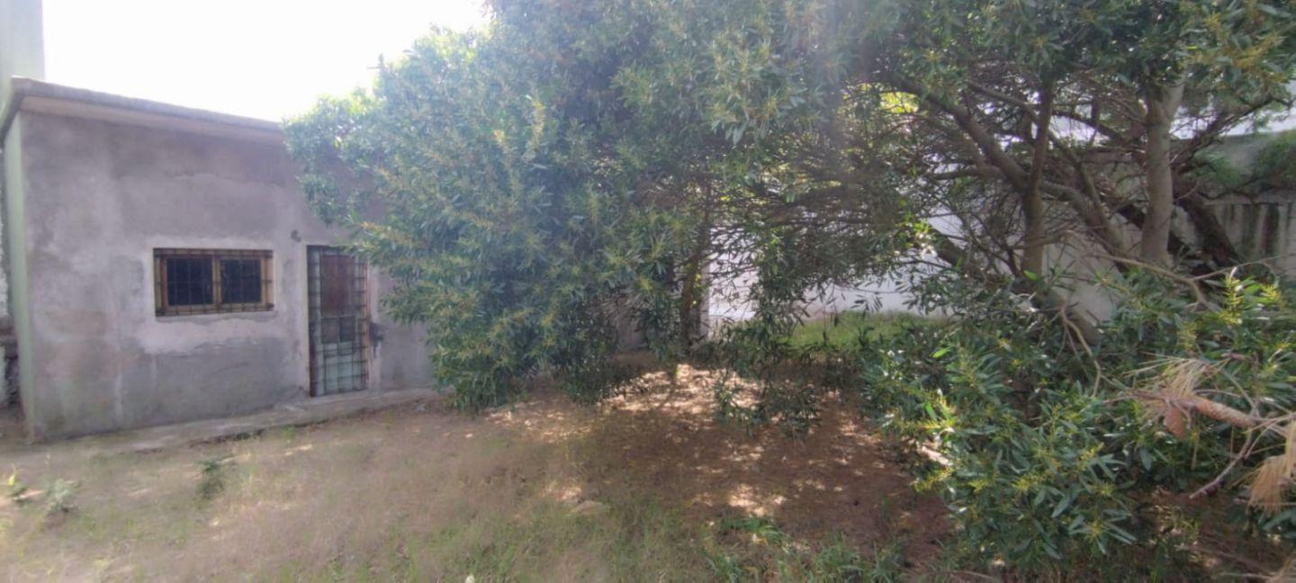 Foto de Venta 2 locales loza 207m2 cub 445m2 lote Oport!, imagen 4