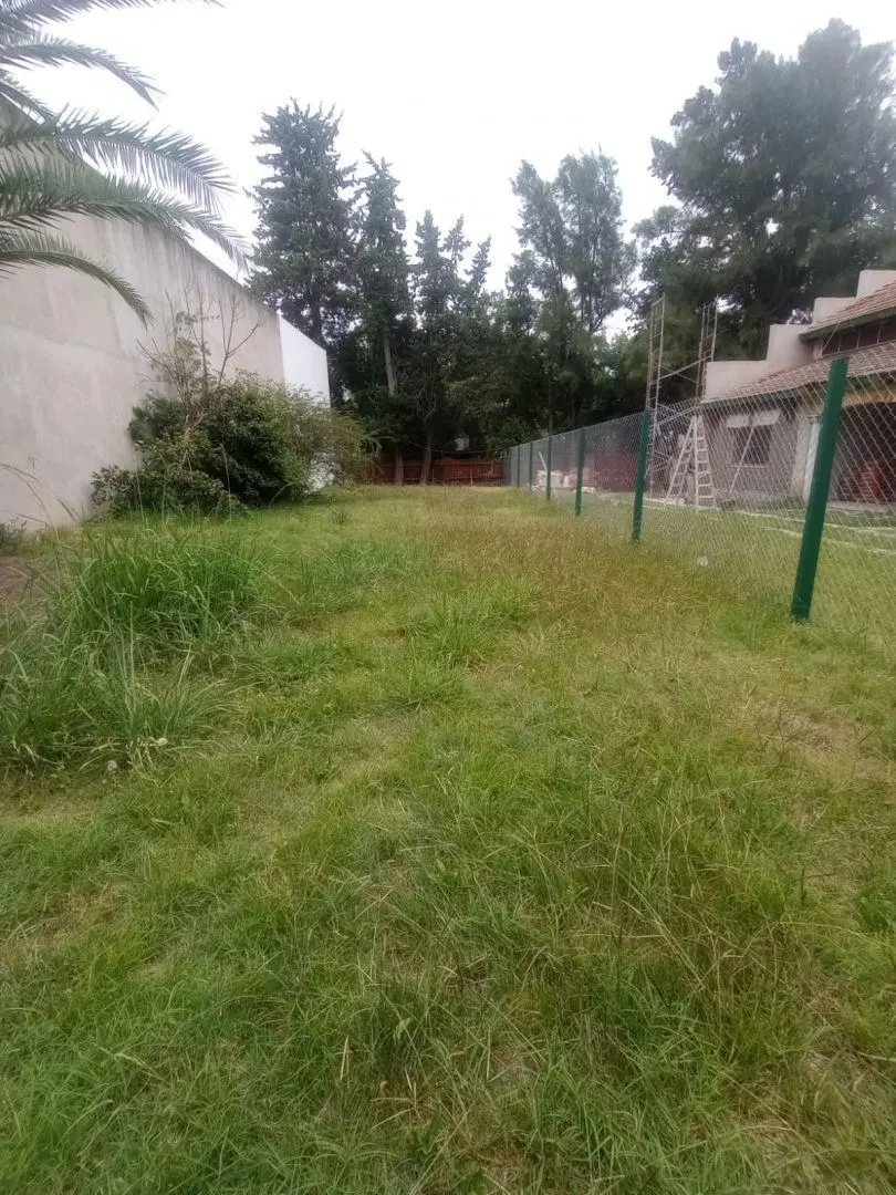 Lote . | Zapiola 600 1