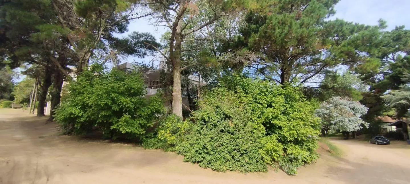 Venta casa 4 amb 170m2 Reciclada a nuevo lote 544m2 Abert DVH 5