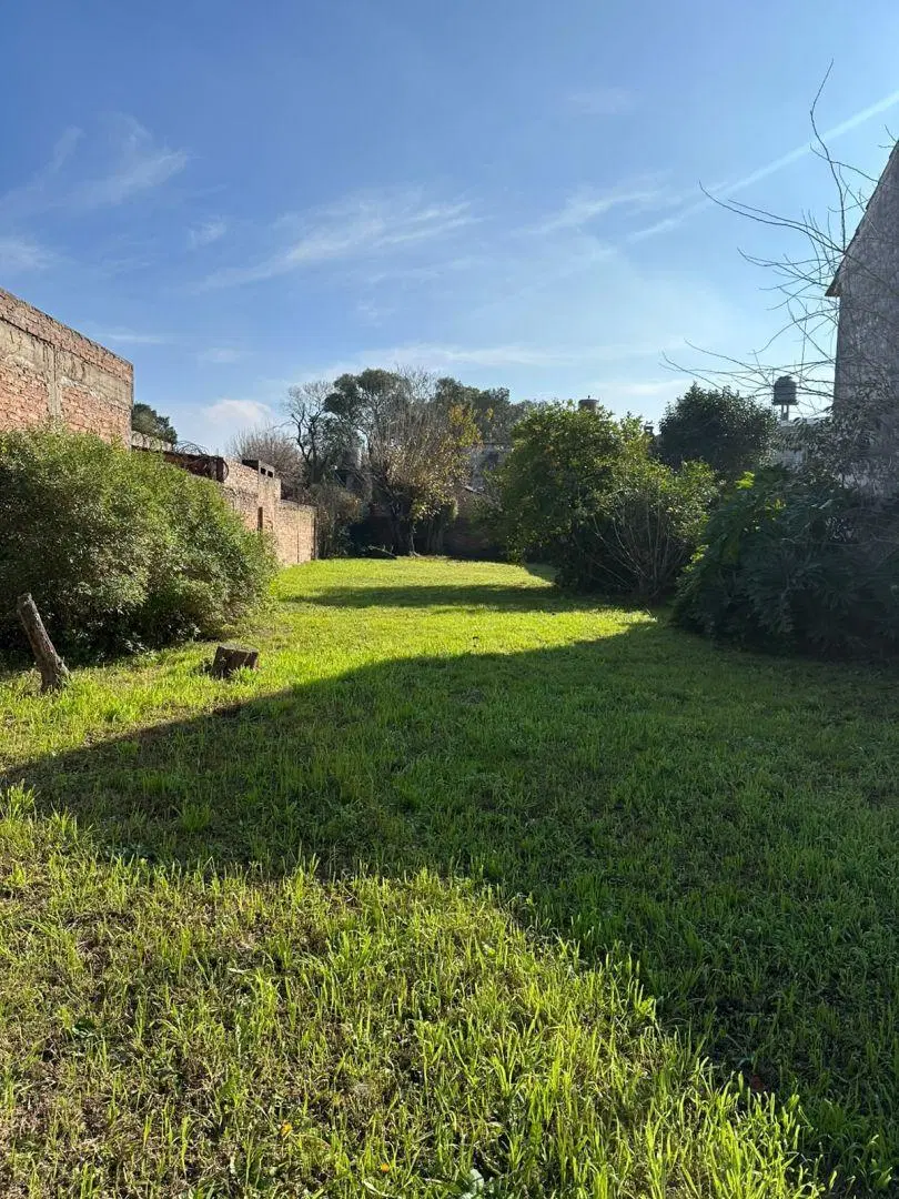 Lote . | Arguero 1584 3
