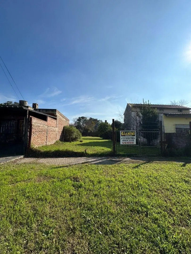 Lote . | Arguero 1584 2