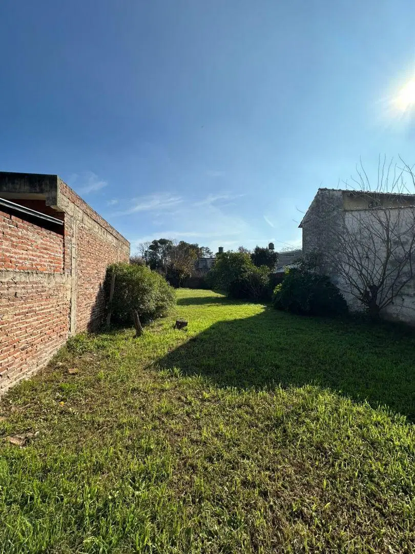 Lote . | Arguero 1584 4