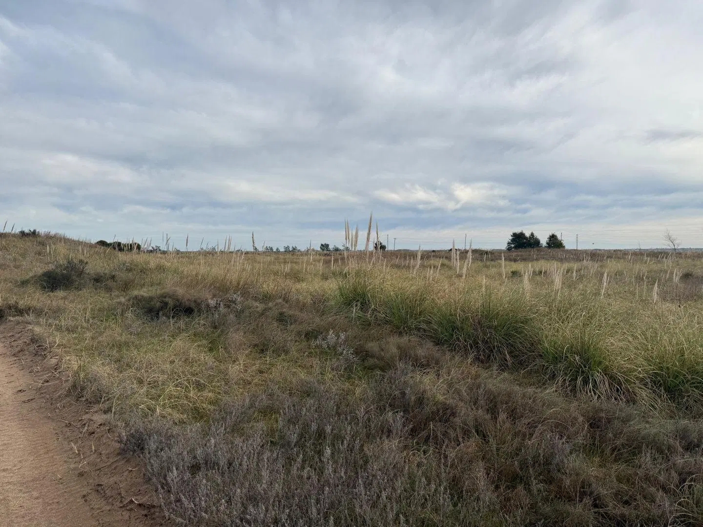 Lote en venta EL SALVAJE 2