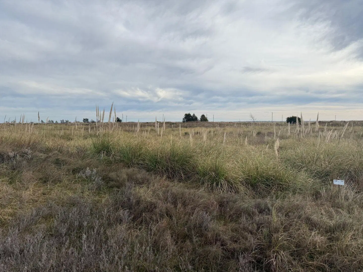 Lote en venta EL SALVAJE 8