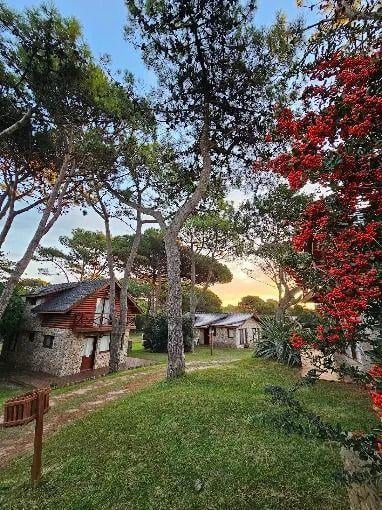 Foto de Complejo de Cabañas, imagen 1
