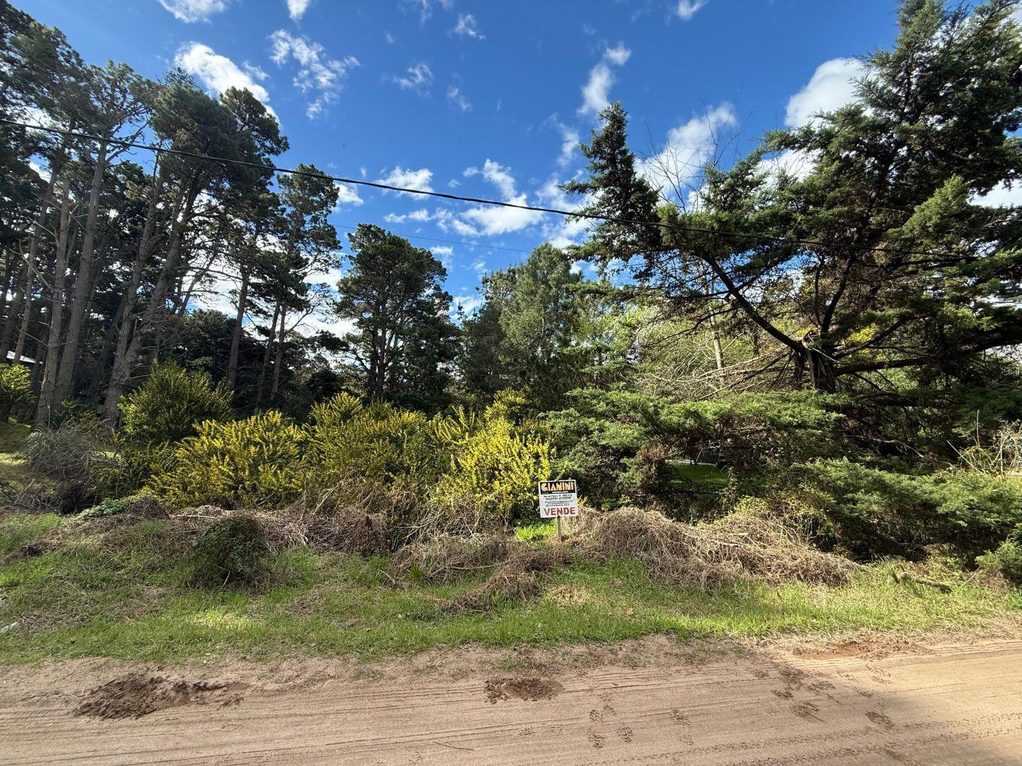 Foto de Dos lotes unifamiliares en venta Mar Azul, imagen 1
