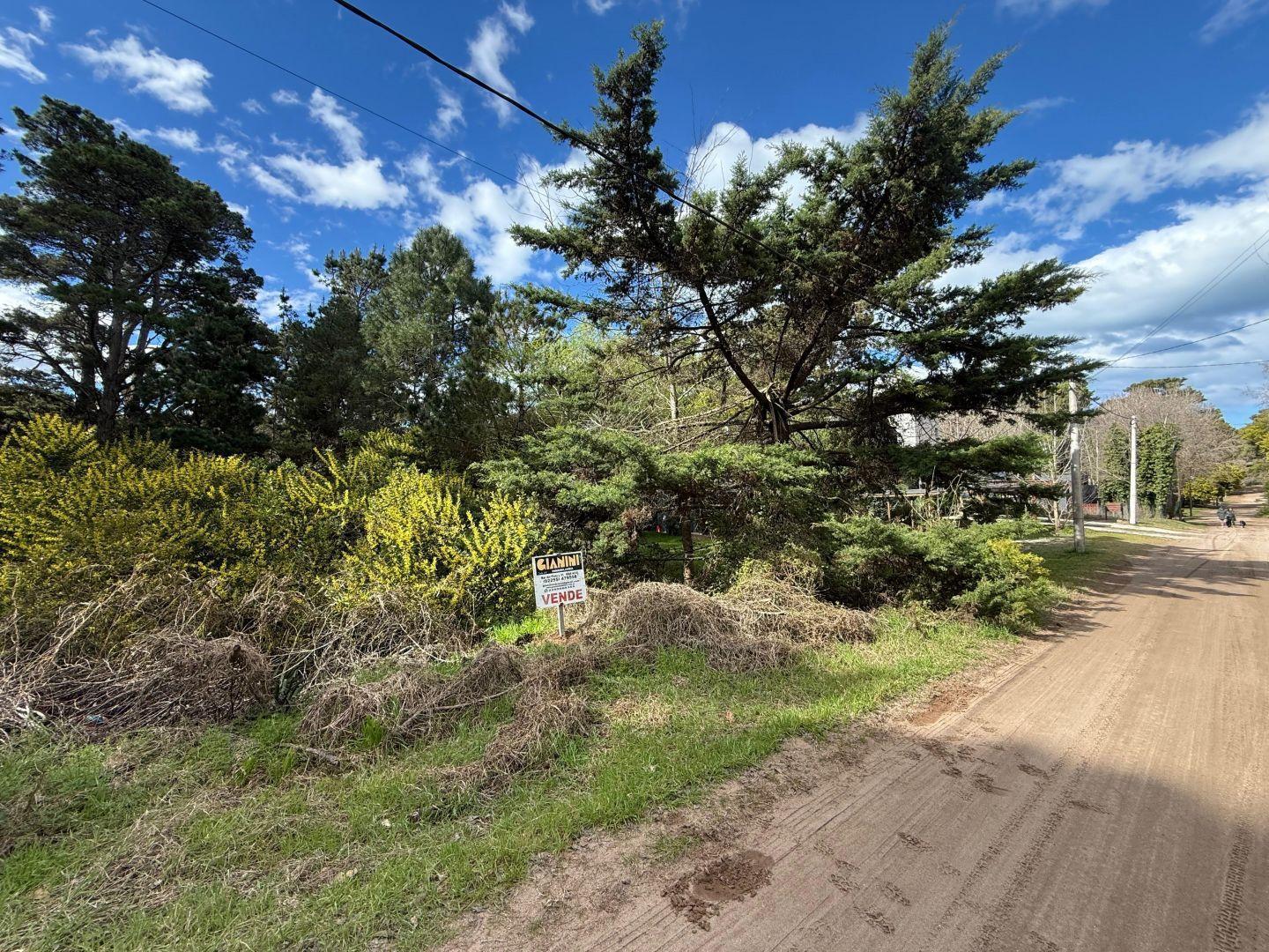 Foto de Dos lotes unifamiliares en venta Mar Azul, imagen 5